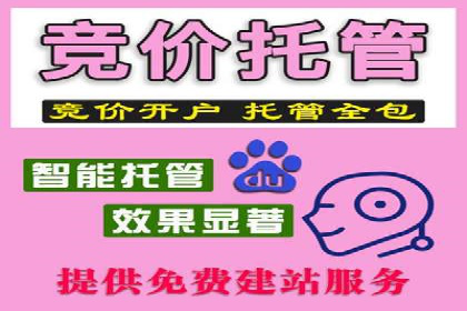 揭秘百度推广：成功案例背后的秘诀